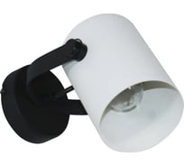 Светильник настенный ЭЛЕТЕХ Гамма 1005405350