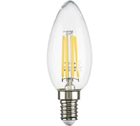 Светодиодная лампа Lightstar LED 933504