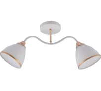 Люстра Rivoli Debbie 3156312 2 х Е27 60 Вт модерн Б0059264