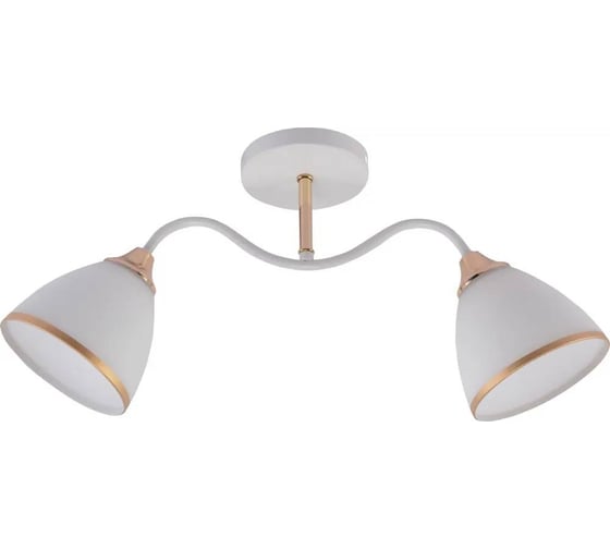 Люстра Rivoli Debbie 3156312 2 х Е27 60 Вт модерн Б0059264