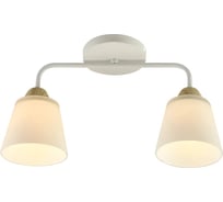 Люстра Rivoli Laurie 3160312 2 х Е27 60 Вт модерн Б0059272