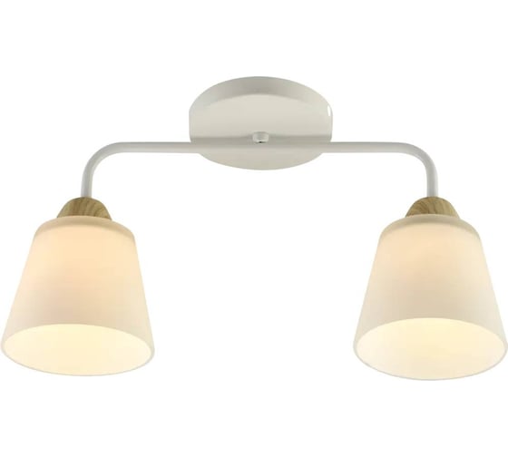 Люстра Rivoli Laurie 3160312 2 х Е27 60 Вт модерн Б0059272 1