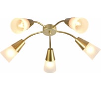 Люстра Rivoli Simone 9136305 5 х Е14 40 Вт модерн Б0054897