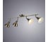 Потолочный светильник Arte Lamp A1102PL-4AB 3
