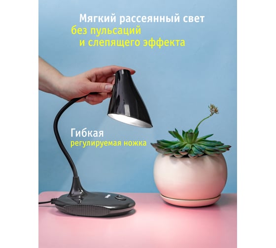 Светильник Navigator, NDF-D027-5W-4K-BL-LED, на основании, черный 14225