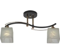 Потолочный светильник Мелодия Света P5535-2 BK+GD 000029939
