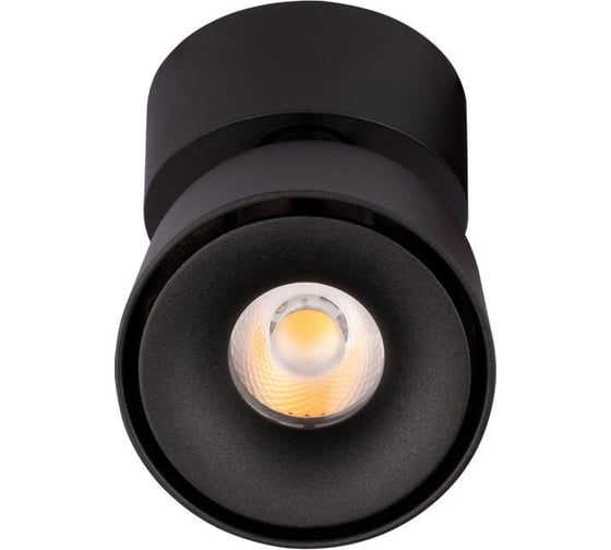 Накладной светильник LOFT IT Focus 10323/A Black