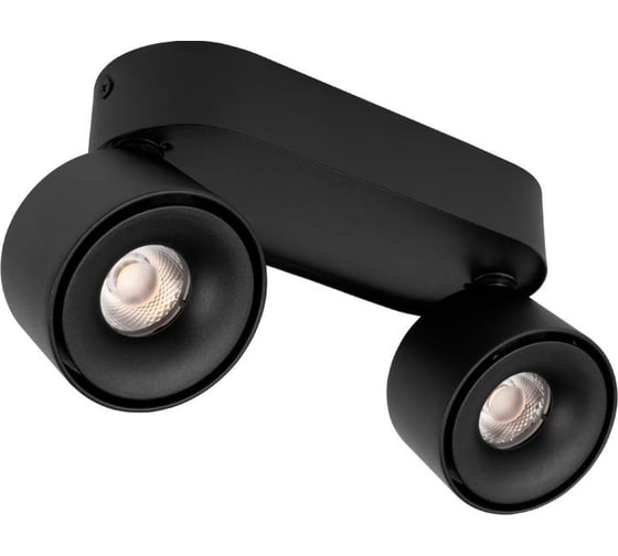 Накладной светильник LOFT IT Focus 10323/2A Black 1