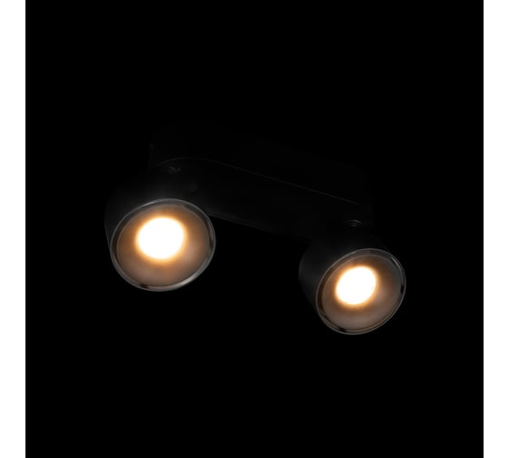 Накладной светильник LOFT IT Focus 10323/2A Black
