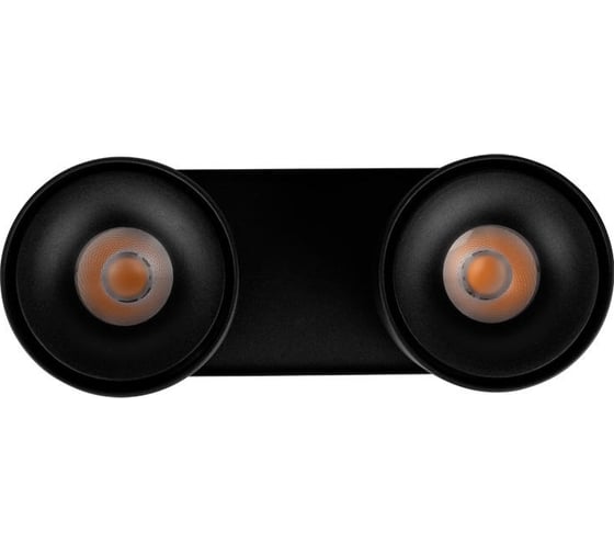 Накладной светильник LOFT IT Focus 10323/2A Black