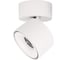 Накладной светильник LOFT IT Focus 10323/A White 1