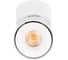 Накладной светильник LOFT IT Focus 10323/A White 3