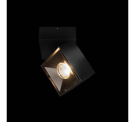 Накладной светильник LOFT IT Focus 10323/B Black