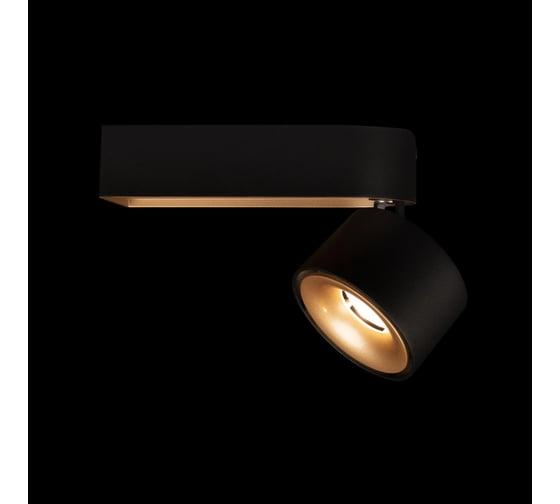 Накладной светильник LOFT IT Knof 10324/A Gold Black