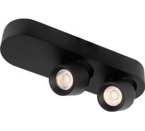 Накладной светильник LOFT IT Quiet 10320/2 Black