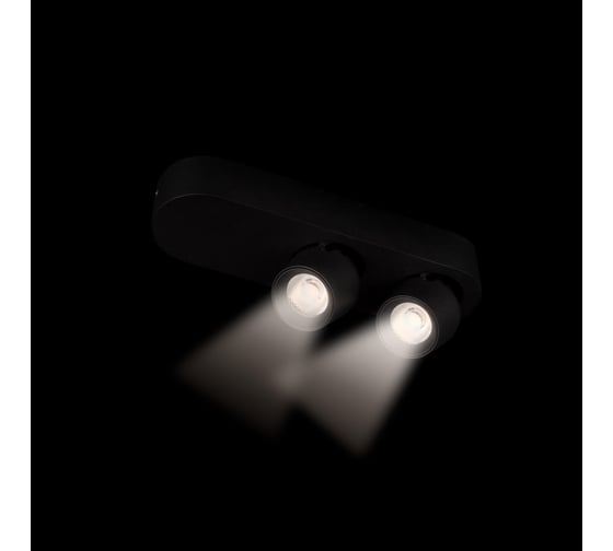 Накладной светильник LOFT IT Quiet 10320/2 Black