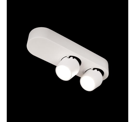 Накладной светильник LOFT IT Quiet 10320/2 White