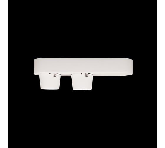 Накладной светильник LOFT IT Quiet 10320/2 White