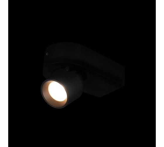 Накладной светильник LOFT IT Quiet 10320 Black