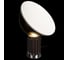 Настольная лампа LOFT IT Taccia 10294/S Brown 4