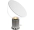 Настольная лампа LOFT IT Taccia 10294/M Silver 3