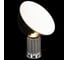 Настольная лампа LOFT IT Taccia 10294/M Silver 4