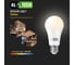 Лампочка светодиодная ALTECH LED Р60-8W-830-E27 8Вт груша теплый белый свет 4673758070180 5