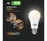 Лампочка светодиодная ALTECH LED Р60-19W-830-E27 19Вт груша теплый белый свет 10шт 4673758071453 5