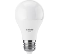 Комплект из 2 светодиодных ламп Sholtz груша 13Вт E27 2700К А60 220-240В, пластик LEB3067D