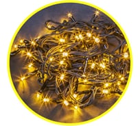 Гирлянда Navigator NGF-S01-140WW-10-15.5m-230-C8-BL-IP44 61827