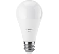 Комплект из 2 светодиодных ламп Sholtz A60 16Вт E27 4200К 220В пластик LEB3071D