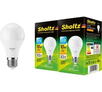 Комплект из 2 светодиодных ламп Sholtz груша 10Вт E27 2700К А60 175-265В пластик LOB4120D