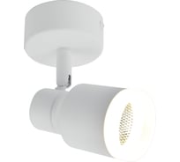 Cветильник светодиодный накладной поворотный Elvan 1202-5W-4000K-Wh белый NLS-1202-5W-NH-Wh