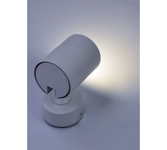 Светильник накладной Elvan 2410/1-GU10-Wh белый NLS-2410/1-G10-Wh