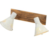 Светильник настенно-потолочный поворотный спот Rivoli Cansaro 7012702 2 х Е14 40 Вт Б0044752