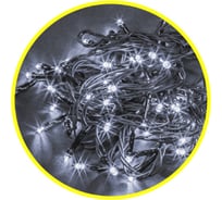 Гирлянда Navigator NGF-S01-50CW-5-4m-230-C8-G-IP20 61794