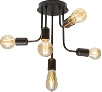 Люстра Северный Свет Эврика венге 1717