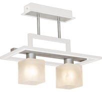 Люстра Северный Свет Стимул Белый+серебро 14731