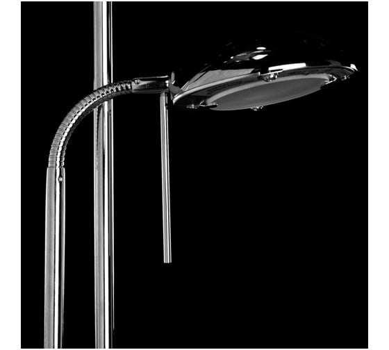 Напольный светильник Arte Lamp A4329PN-2CC
