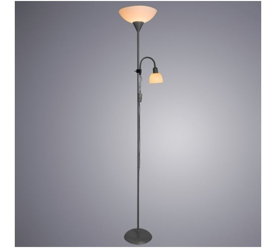 Напольный светильник Arte Lamp A9569PN-2SI