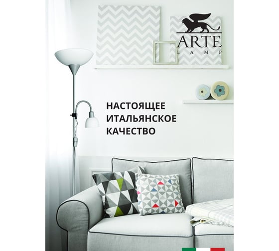 Напольный светильник Arte Lamp A9569PN-2SI