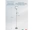 Напольный светильник Arte Lamp A9569PN-2SI 3