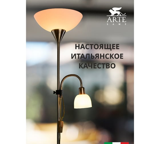 Напольный светильник Arte Lamp A9569PN-2AB