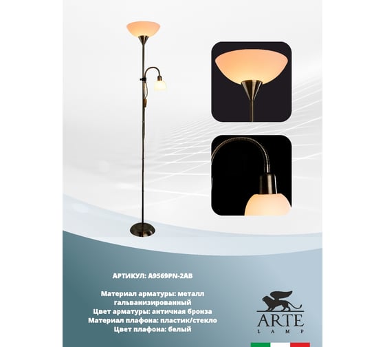 Напольный светильник Arte Lamp A9569PN-2AB