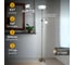 Напольный светильник Arte Lamp A9569PN-2AB 7