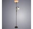 Напольный светильник Arte Lamp A9569PN-2AB 6