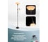 Напольный светильник Arte Lamp A9569PN-2AB 3