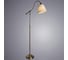 Напольный светильник Arte Lamp A1509PN-1PB 4