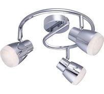 Потолочный светильник Arte Lamp A5621PL-3CC