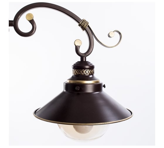 Потолочный светильник Arte Lamp A4577PL-3CK